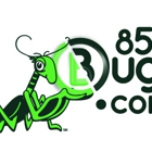 855bugs.com of Central Texas