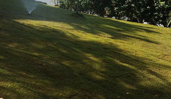 Ipswich Turf Supplies - Coominya, QLD