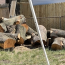 Arnold's Tree Service - Tree Service