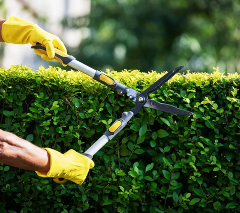 Riverina Tree Services - Leeton, NSW