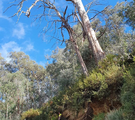 Advanced Tree Care - Bonnie Doon, VIC