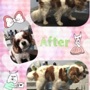 Puppy Patch Boutique & Grooming Spa - Pet Grooming