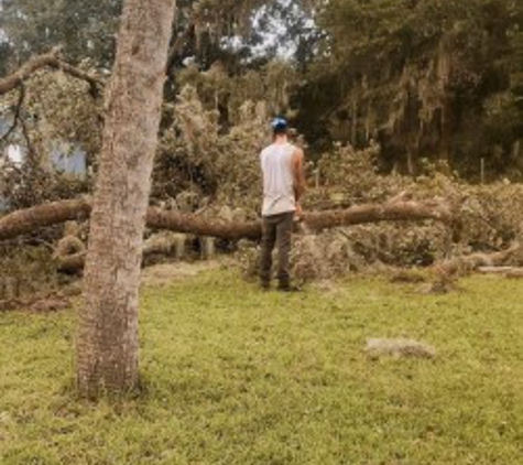 The Perfect Cut Tree Service LLC - Middleburg, FL