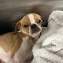 Rush Veterinary Urgent Care - Veterinarians