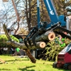 Specialty Tree & Bucket Service gallery