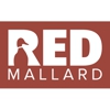 Red Mallard gallery