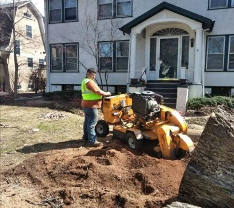 RGP Tree Service - Chicago, IL