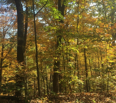 Jackson Washington State Forest - Brownstown, IN