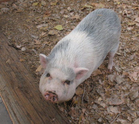 Greenspot Farms - Mentone, CA