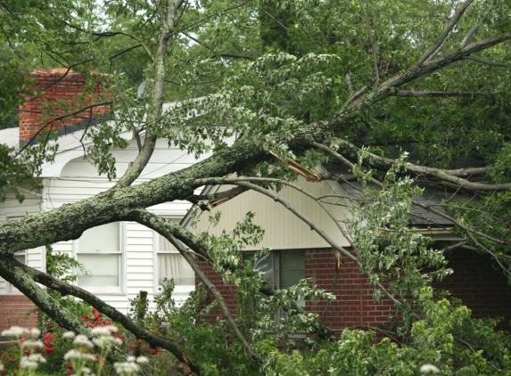 Kostos Tree Service - Lemon Grove, CA