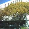 Berkeley Learning Center gallery