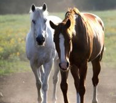 Benbrook  Stables - Benbrook, TX. #benbrookstables #fortworthtexas