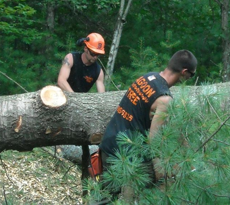 Magoon Tree - Canterbury, NH