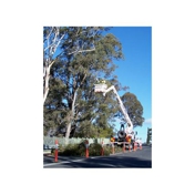 Gallery Image Number 4