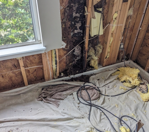 Affordable Mold Removal & Remodeling - Ponte Vedra Beach, FL