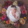 Imago Dei Newborn Photography gallery