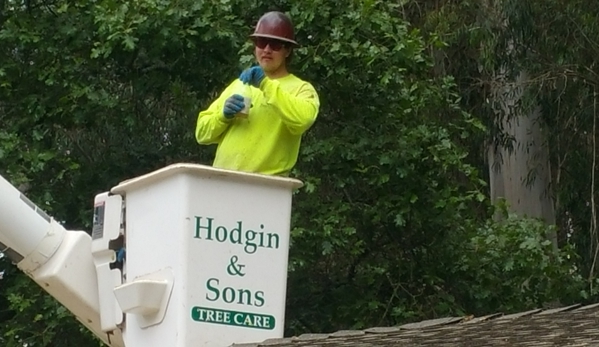 Hodgin & Son Tree Service - Santa Rosa, CA. Most advanced Aerial Bucket Device.