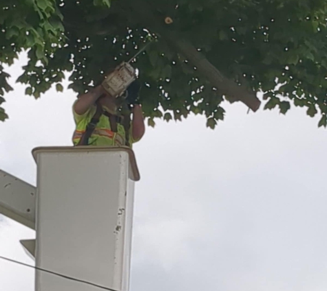 J&M Tree Service - Flint, MI