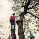 J  & B Professional Tree Service Inc - Tree Service