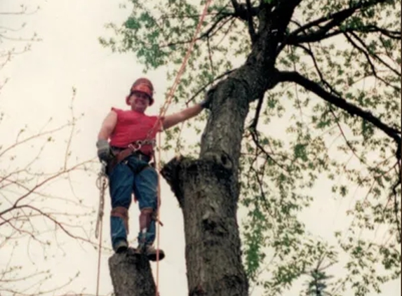 J  & B Professional Tree Service Inc