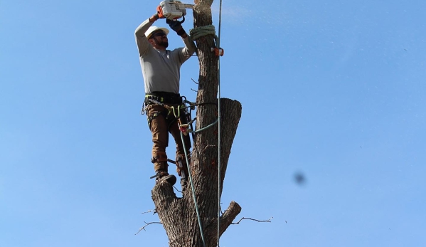 Cisneros Tree Service - Omaha, NE