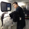 BoneAmi mobile dog grooming spa gallery