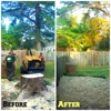 The Arbory Tree Service gallery