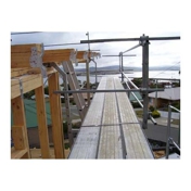 Gallery Image Number 5