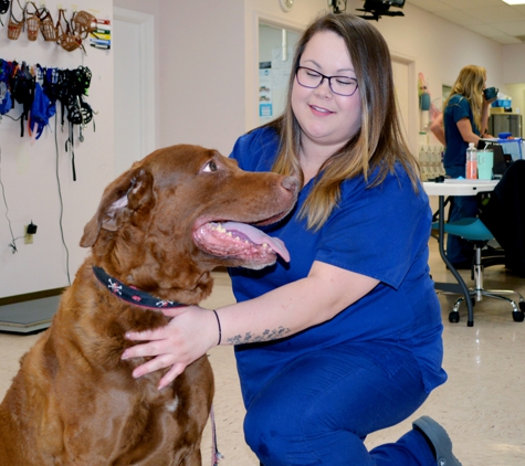 Veterinary Emergency Services - Verona, VA