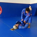 Gracie Barra Georgia - Training Consultants