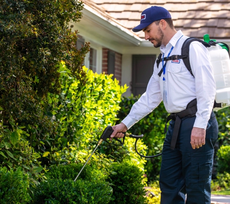 Clark Pest Control - Stockton, CA