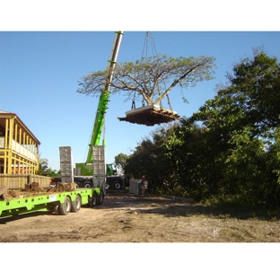 The Tree Doctor (Qld) Pty Ltd - Everton Hills, QLD