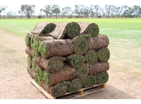 Sunraysia Evergreen Turf - Boeill Creek, NSW