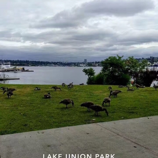 Lake Union Park - Seattle, WA