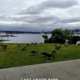 Lake Union Park