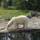 Columbus Zoo