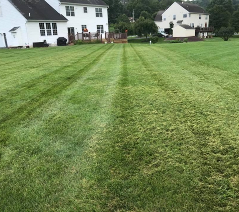 Behms Lawn Care LLC