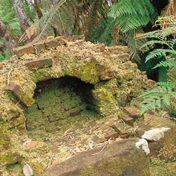 Gallery Image Number 6