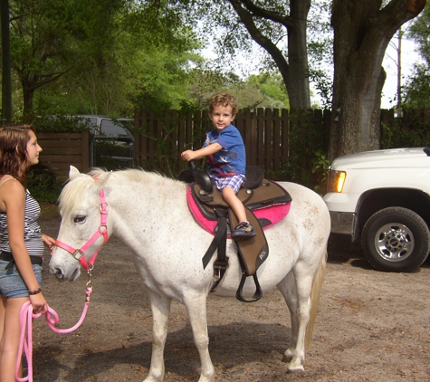 Pretty Party Ponies - Apopka, FL