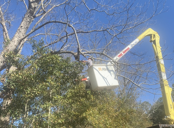 Hug'em and Cut'em Tree Service - Robertsdale, AL