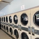 Wash Wizard Plus - Laundromats
