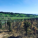 Rusack Vineyards - Wineries