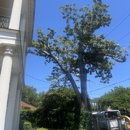 All Seasons Tree Service - Tree Service