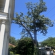 All Seasons Tree Service