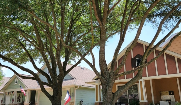 Texas Tree Care - Spring, TX