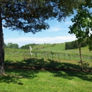 Misty Oaks Vineyard - Wine