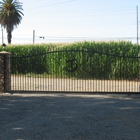 Schell's Fencing