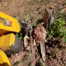 Just Grindin' LLC - Stump Removal & Grinding