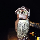 Bronze Owl Brewing