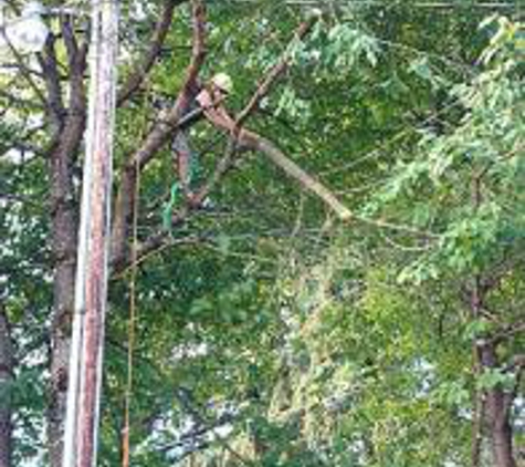 Arbor City Tree Care - Vancouver, WA